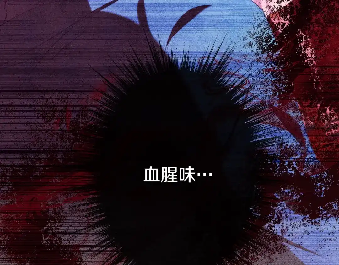 第204页