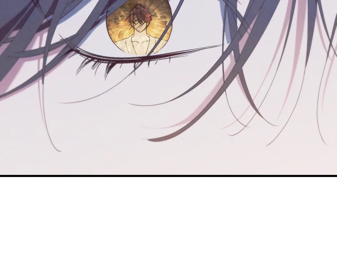 第215页