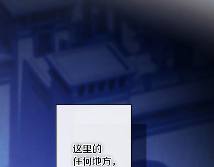 第243页