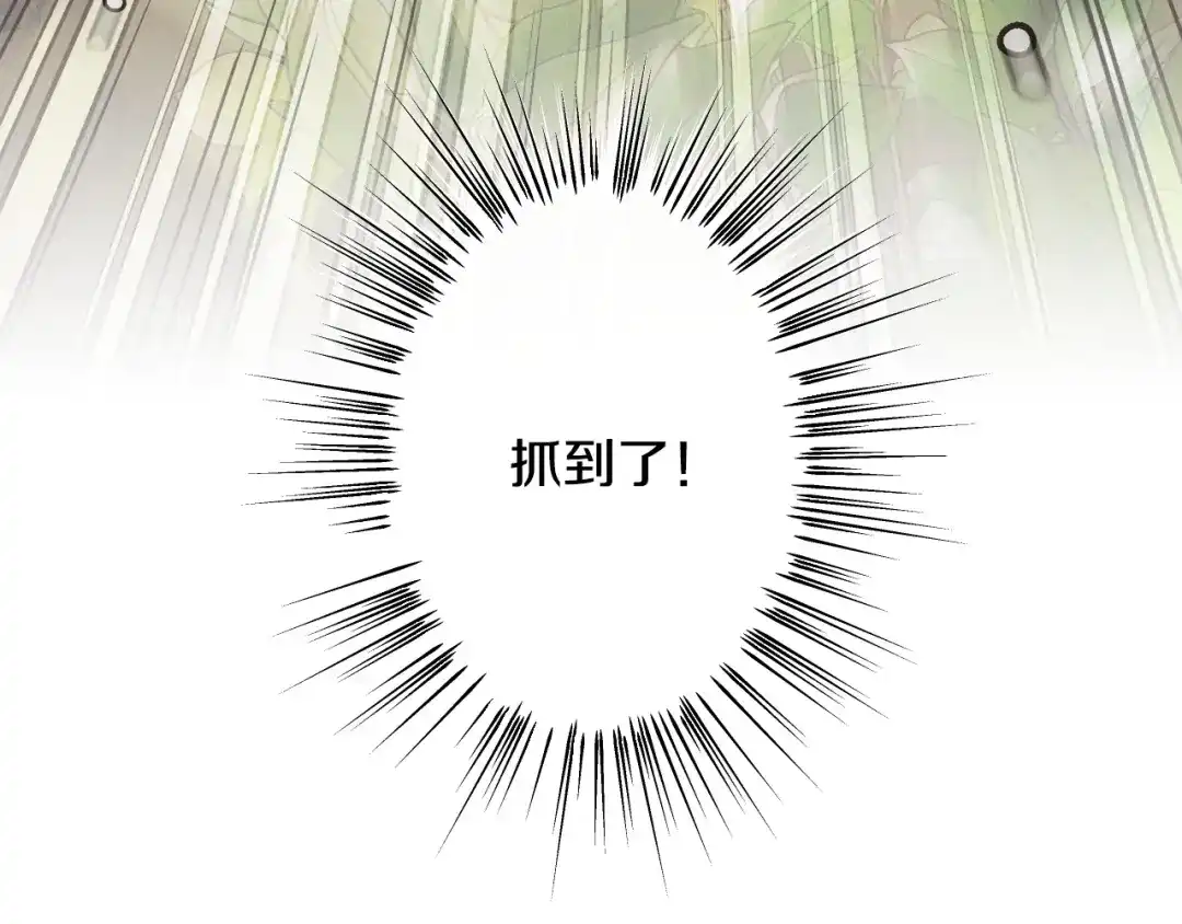第217页