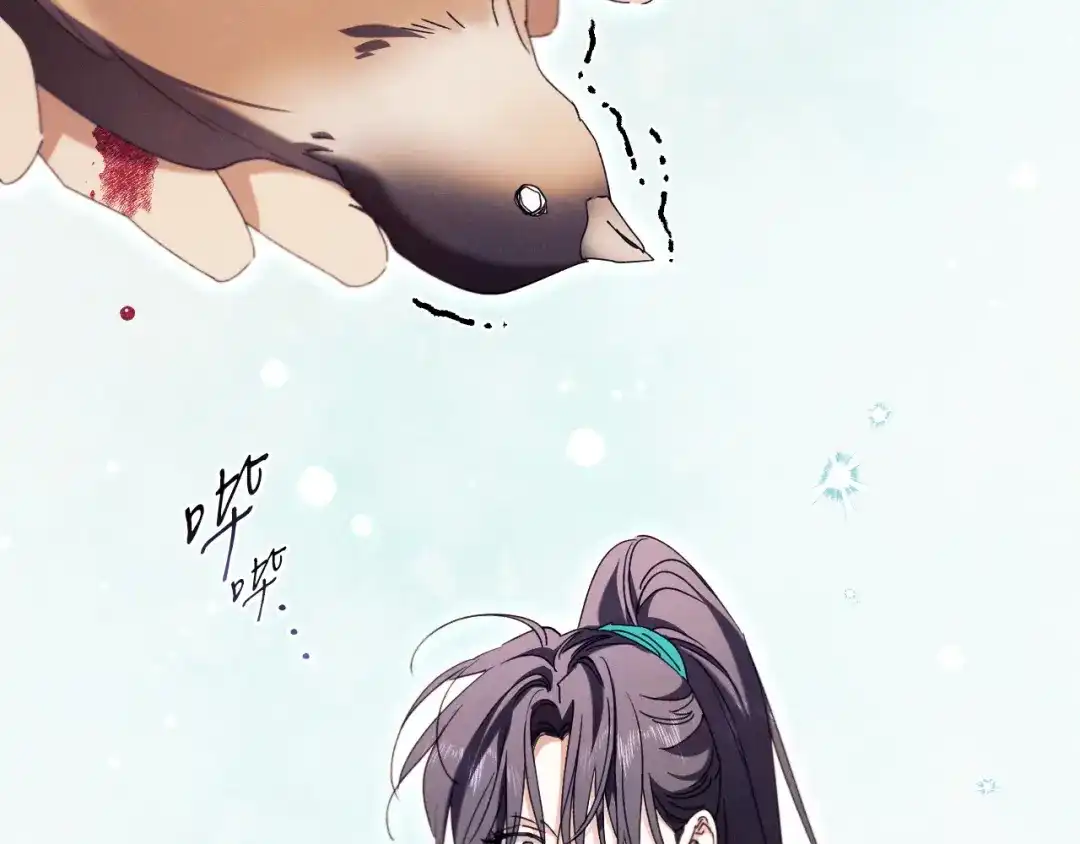 第224页