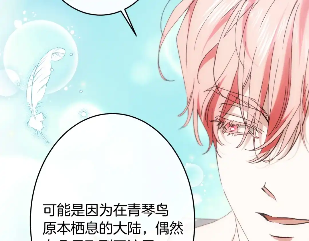 第205页