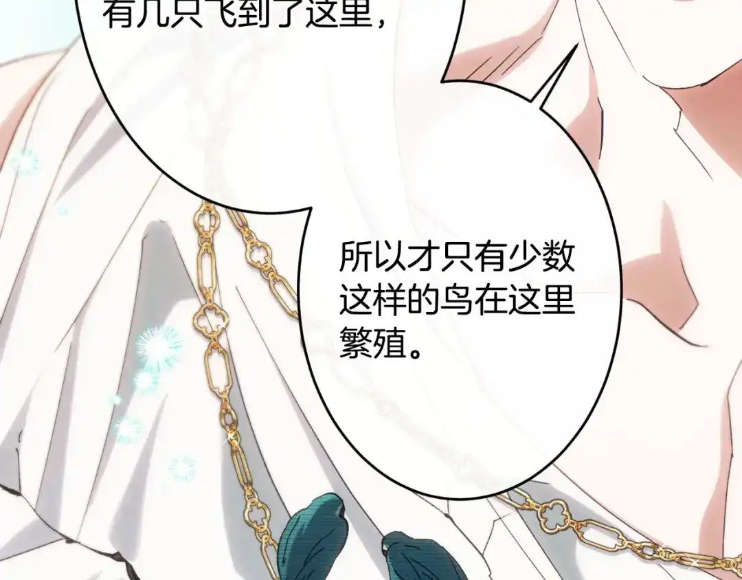 第206页