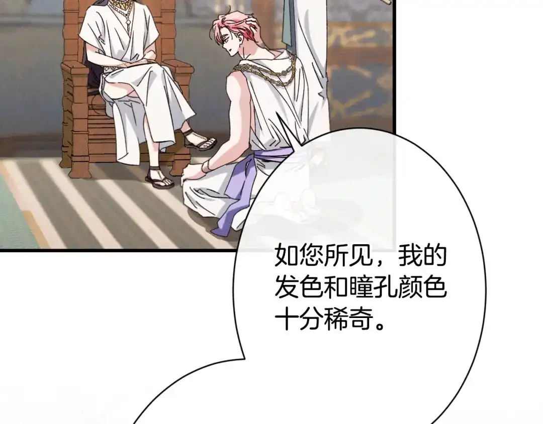 第215页