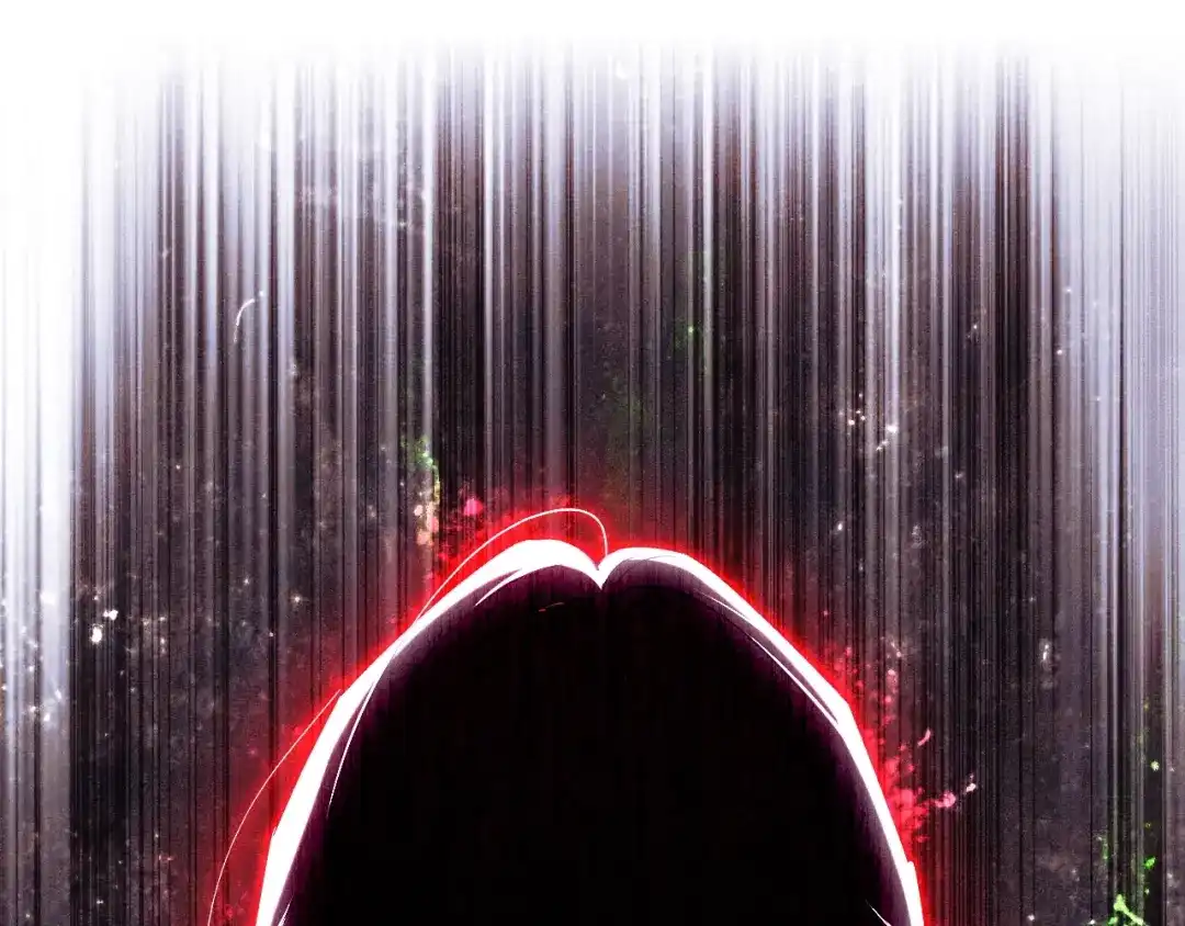 第215页