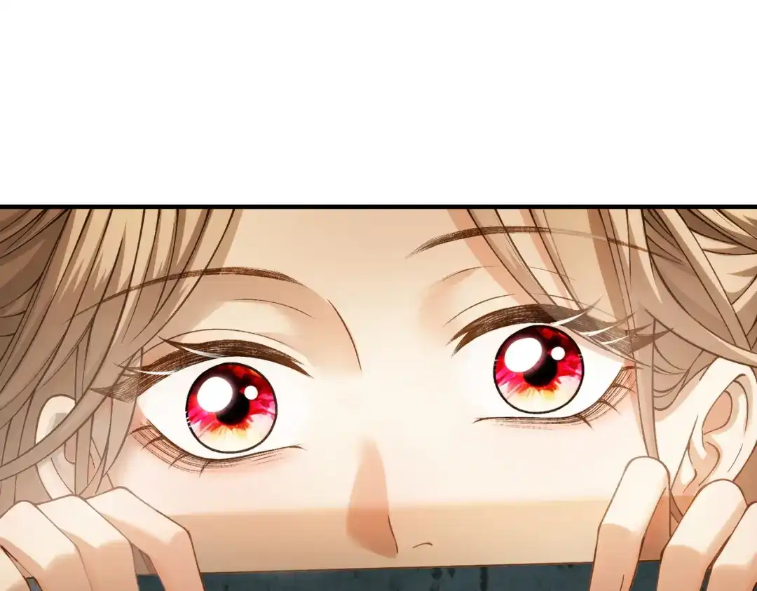 第231页