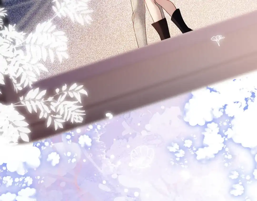 第455页