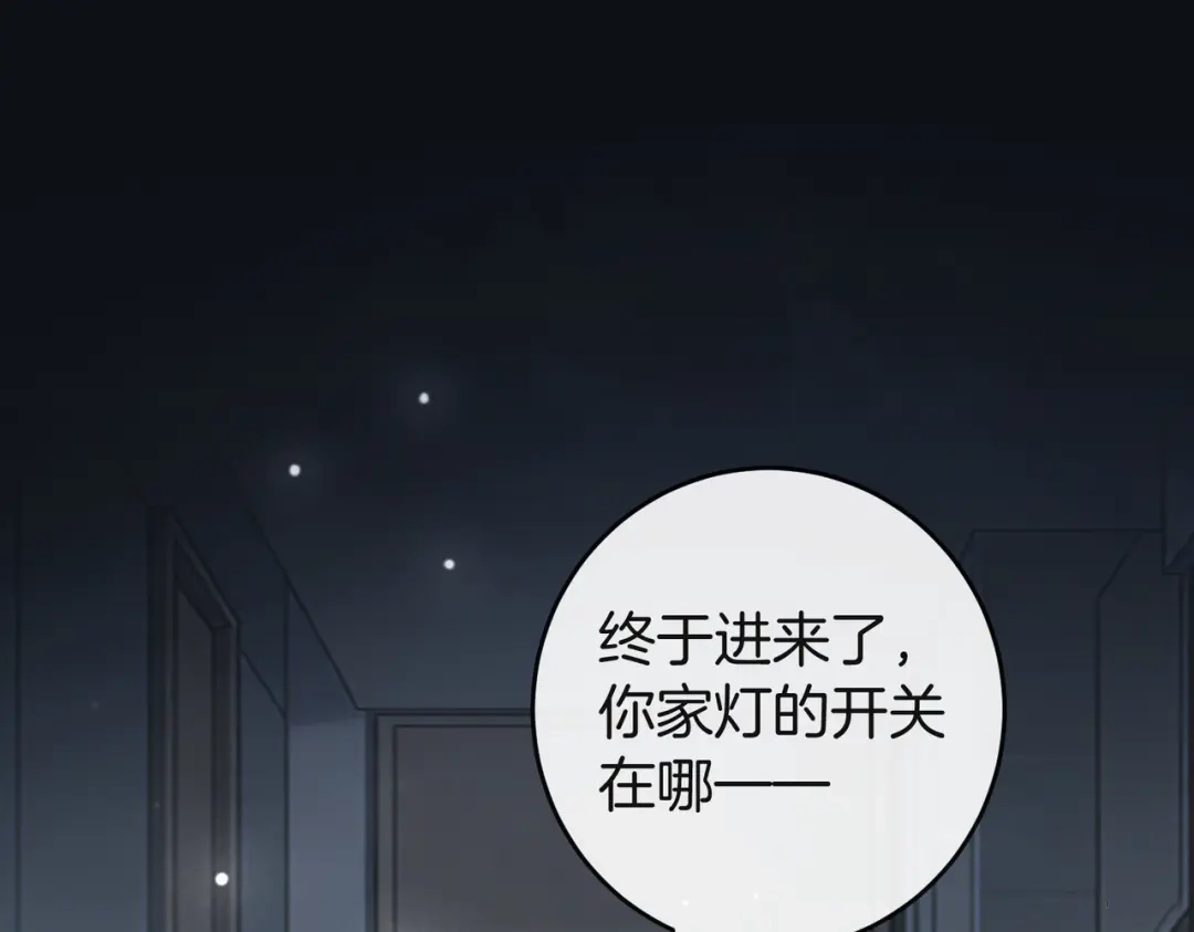 第204页