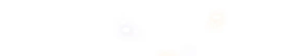 第306页