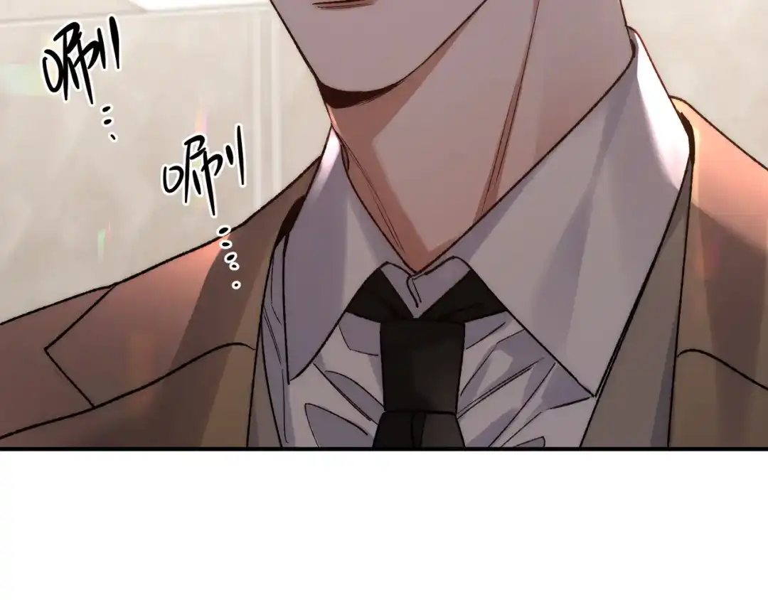 第241页