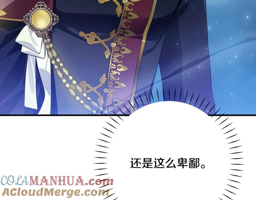 第205页