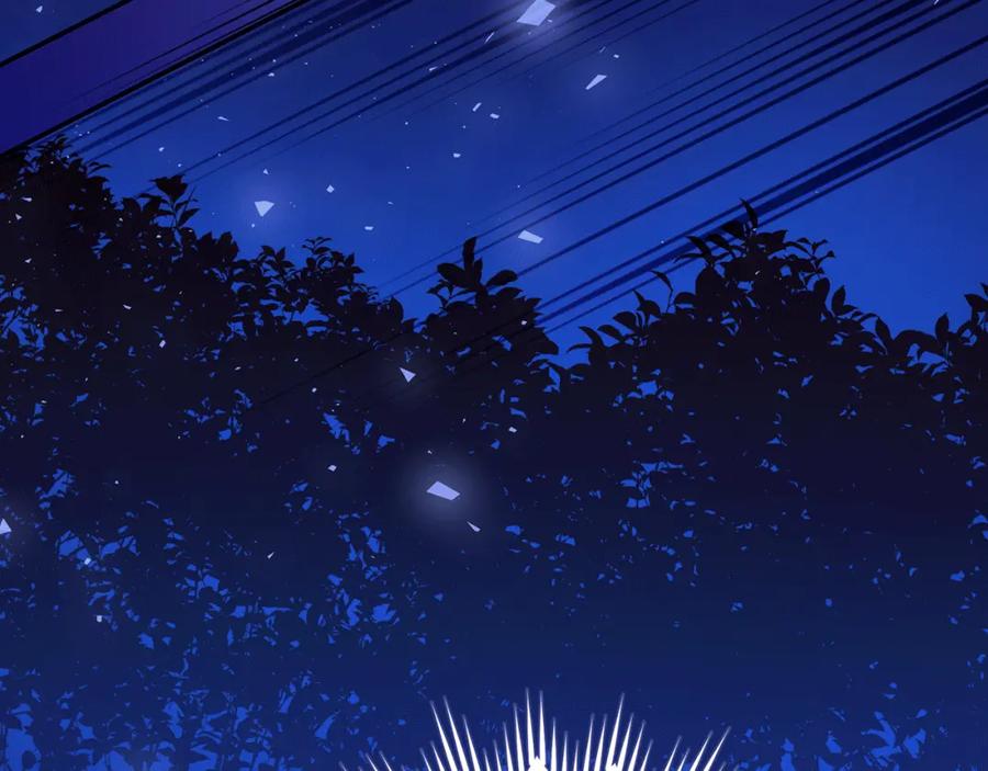 第223页