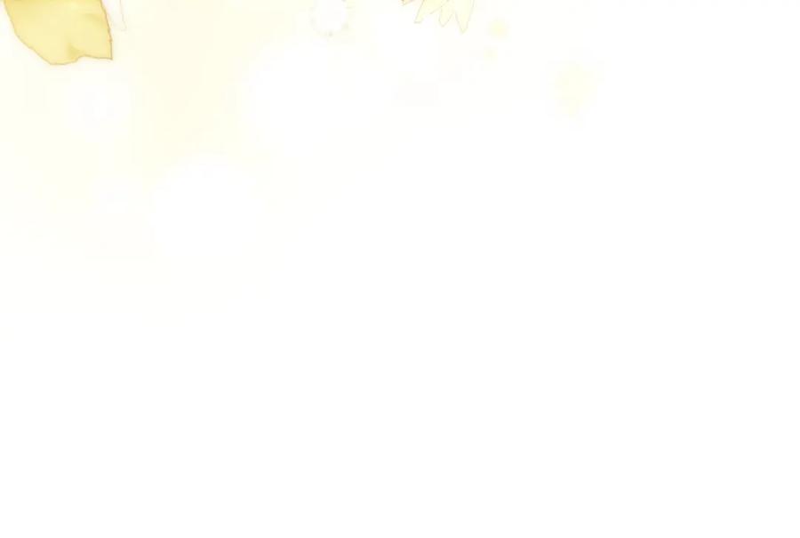 第206页