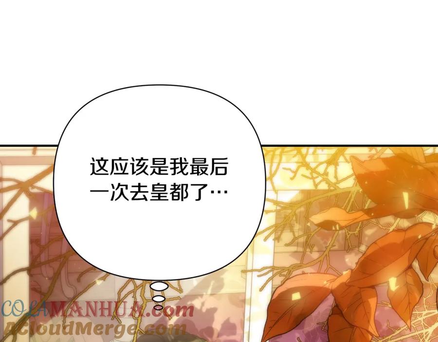 第217页