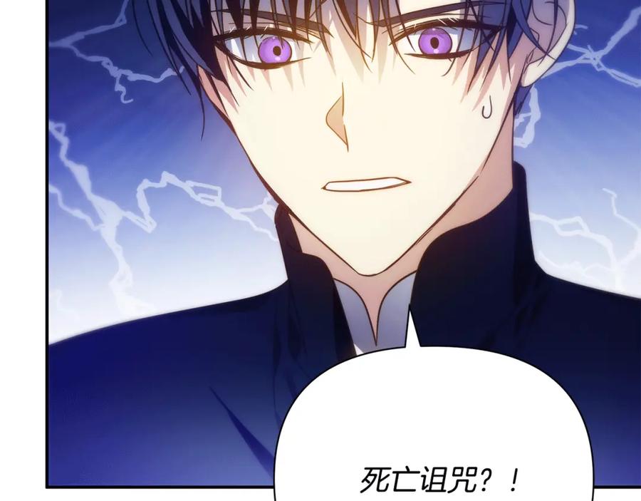 第223页