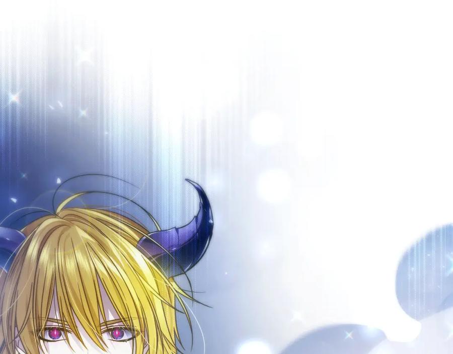 第223页