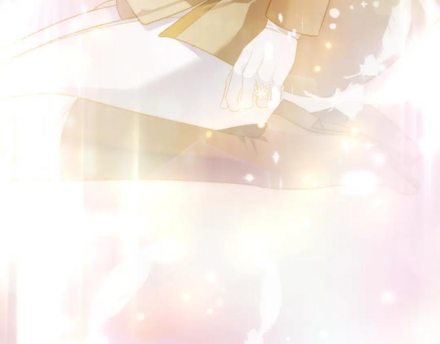 第223页