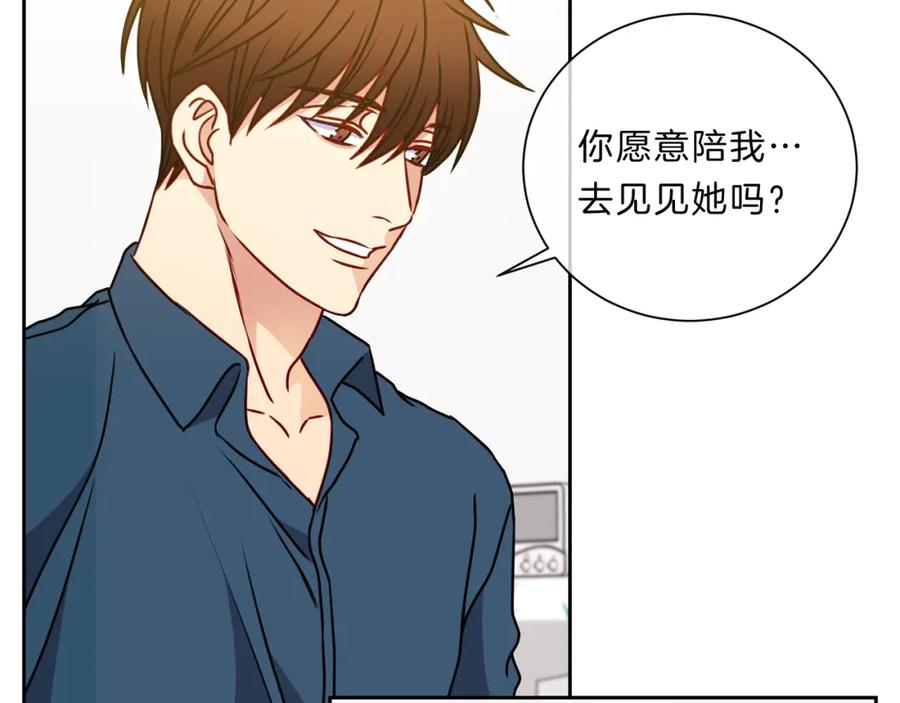 第223页