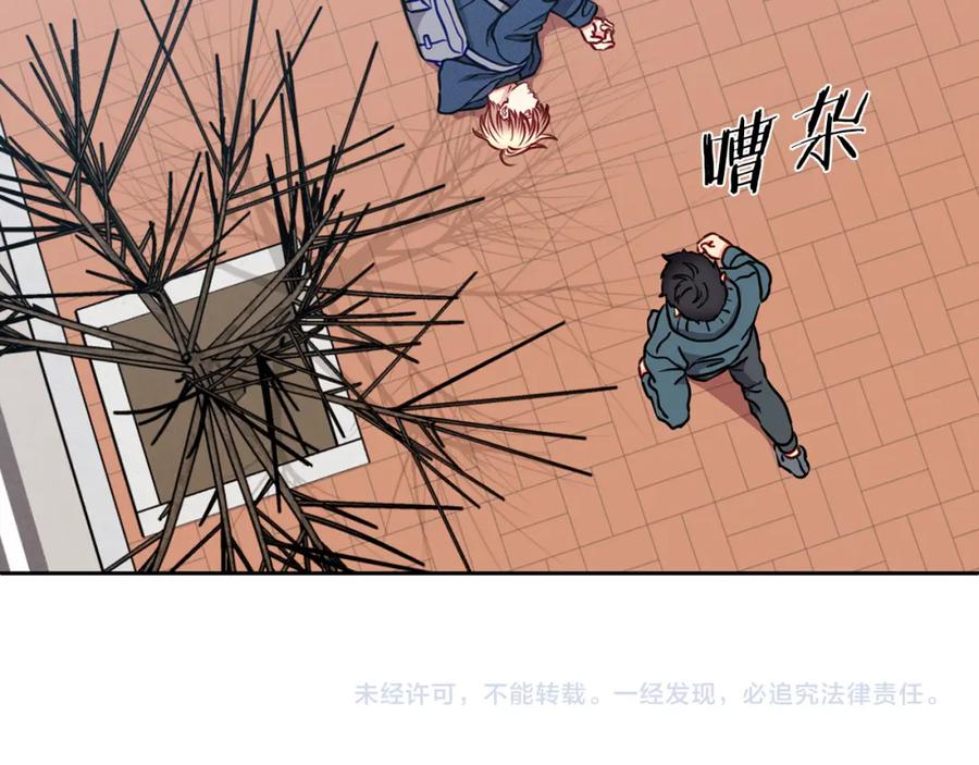 第243页
