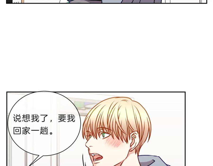 第204页