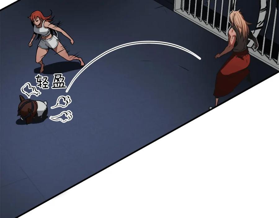 第116页