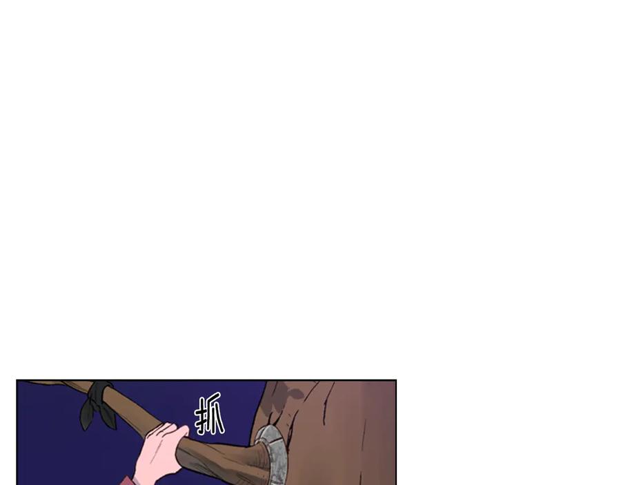 第215页