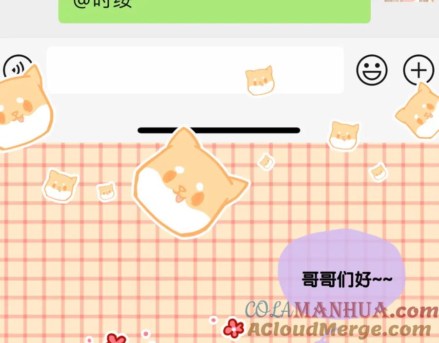 第113页