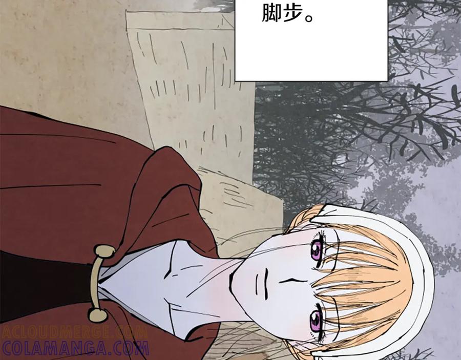 第217页