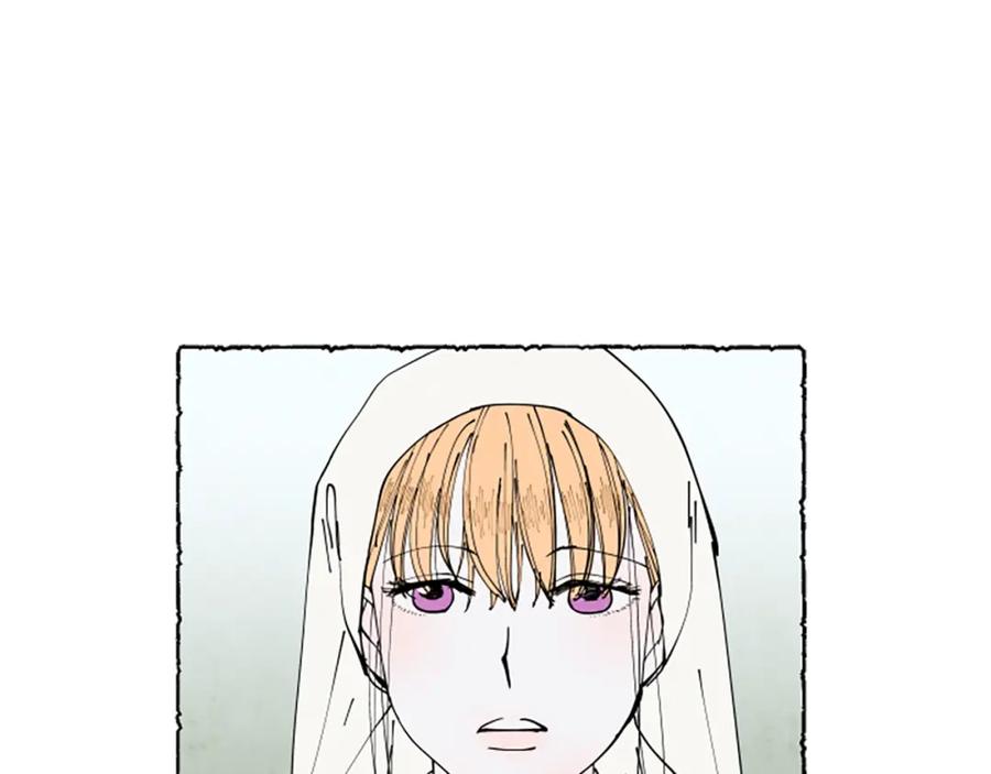 第242页