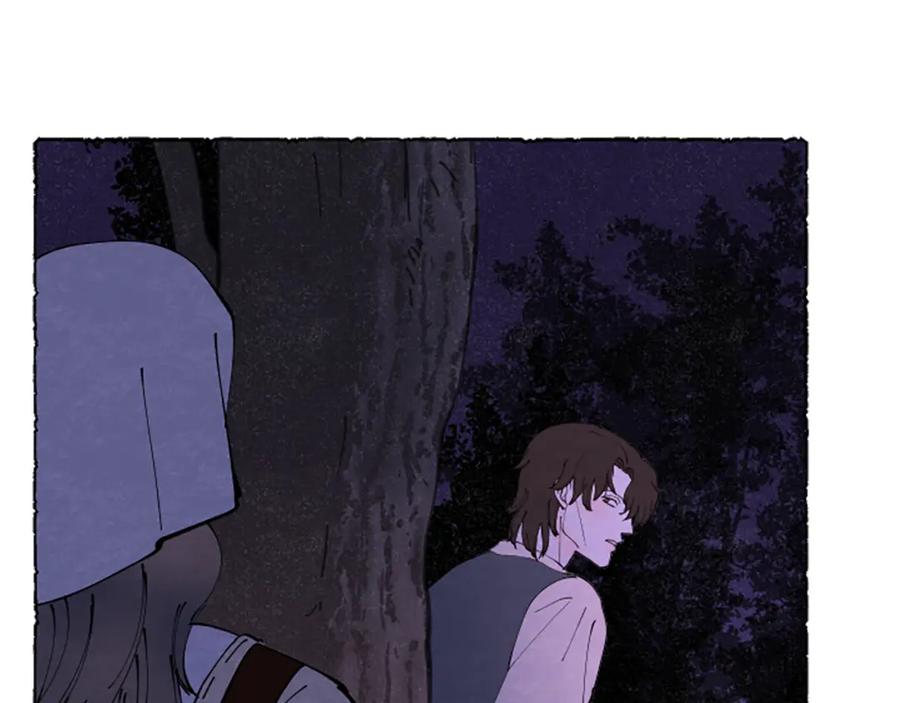第204页