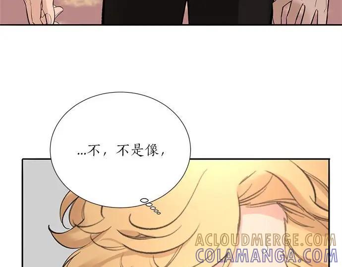 第221页