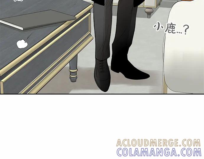 第217页