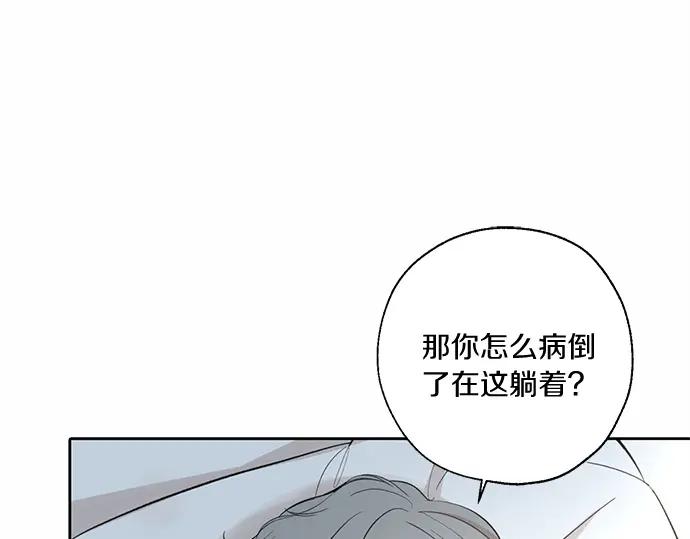 第295页