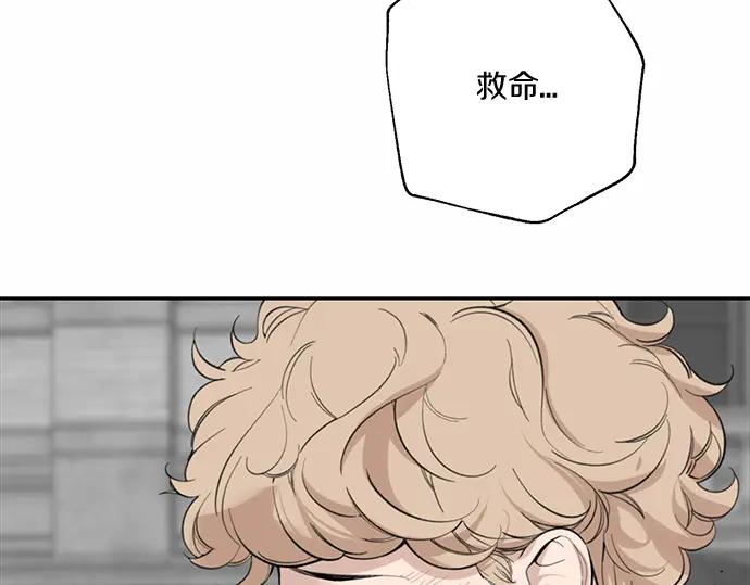 第203页