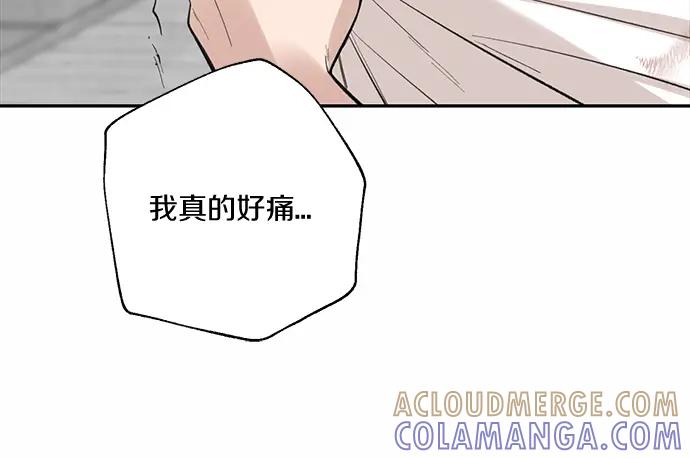 第205页