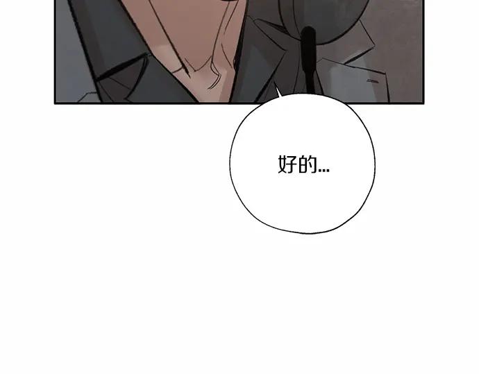 第259页