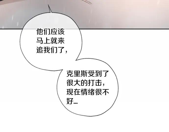 第411页