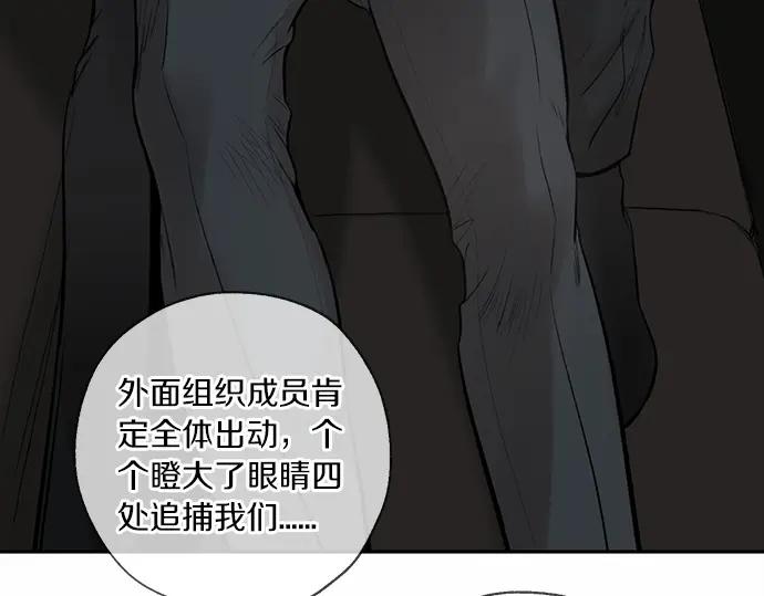 第184页