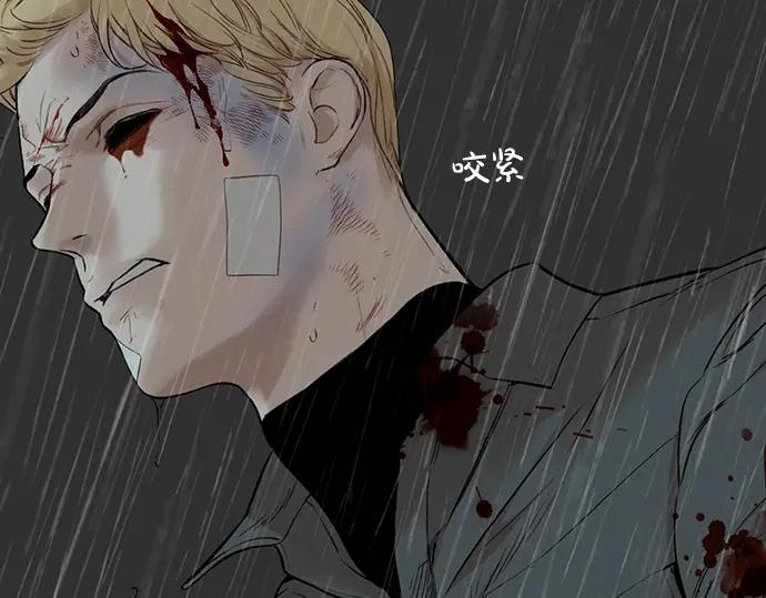 第178页