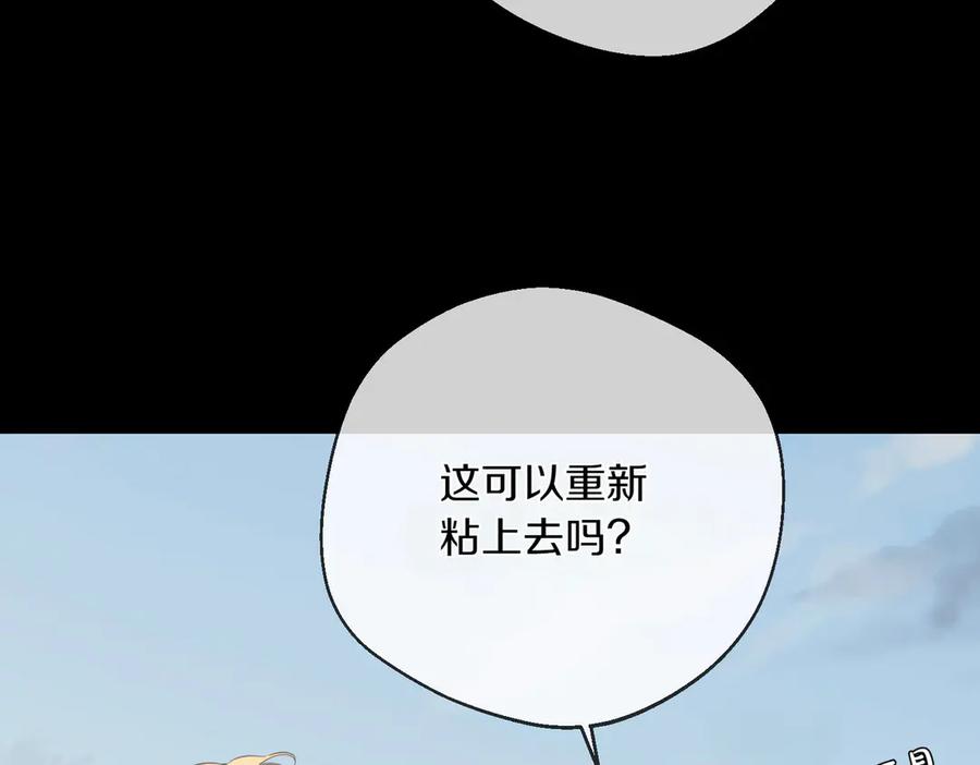 第223页