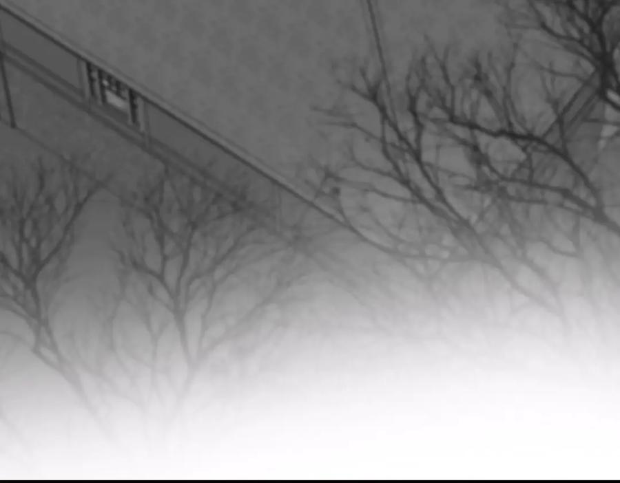 第463页