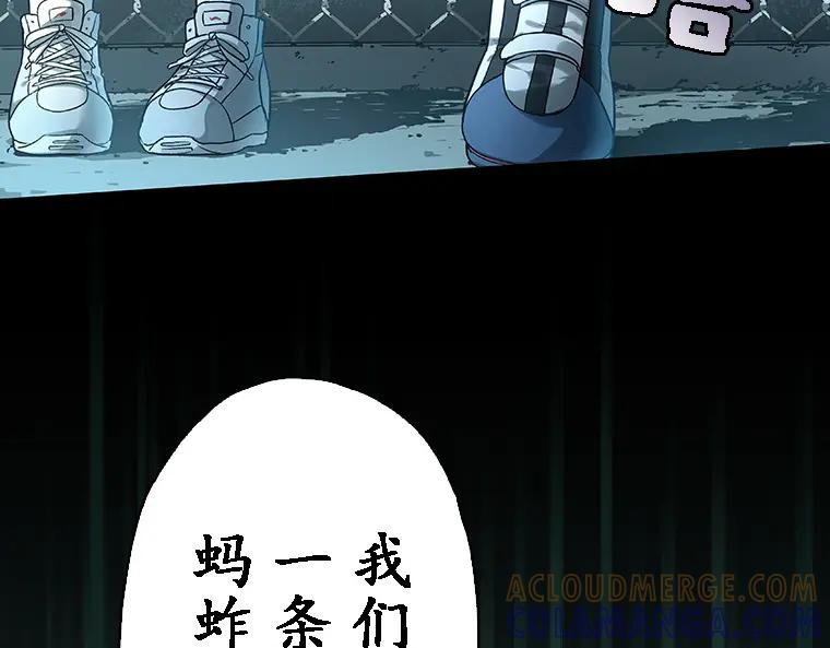 第229页