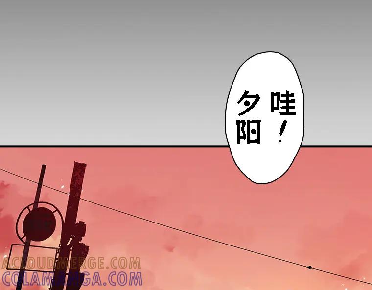 第233页