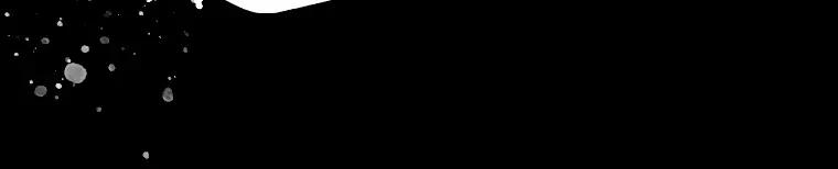 第242页