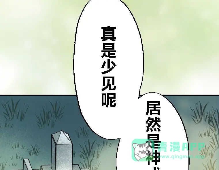 第196页