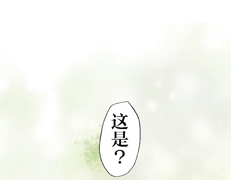 第224页