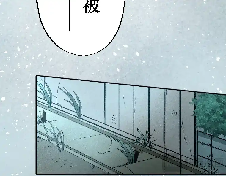 第365页