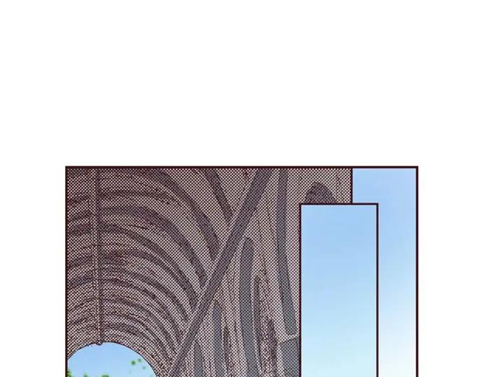 第239页