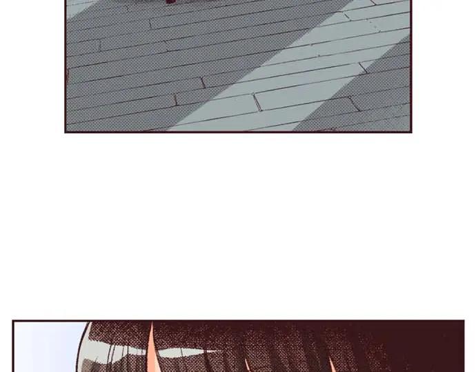 第245页