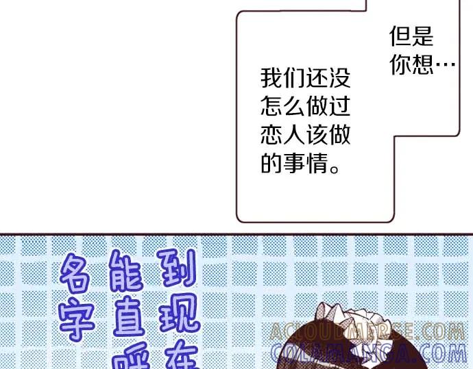 第255页